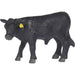 Angus Calf KIDS - Accessories - Toys Little Buster