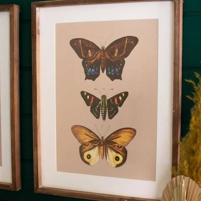 Set of 2 Framed Butterfly Prints HOME & GIFTS - Home Decor - Wall Decor + Mirrors Kalalou