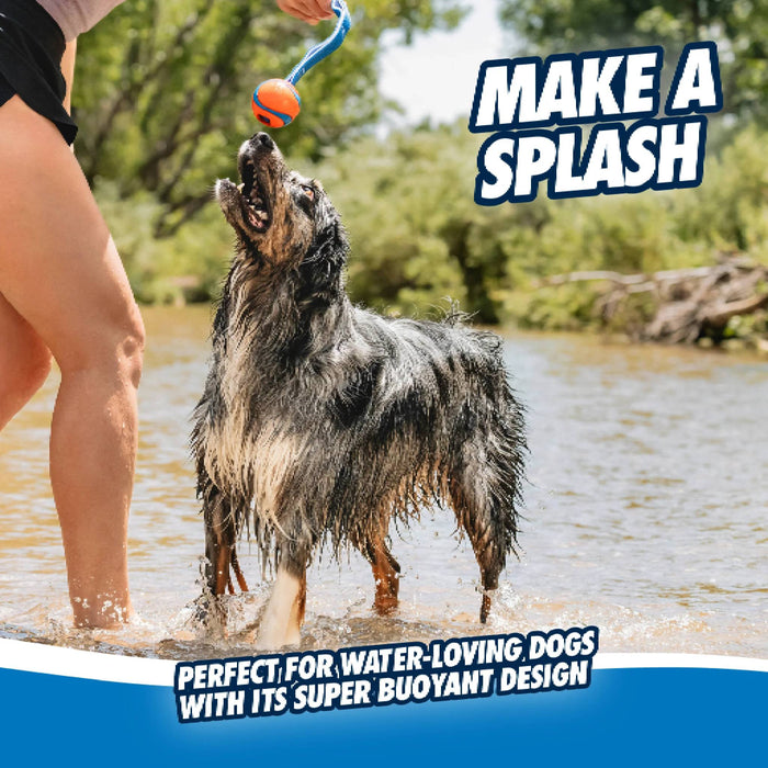 Chuckit! Ultra Tug Dog Toy Medium