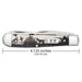 Case Sportsman Series Bird Dog Knives W.R. Case