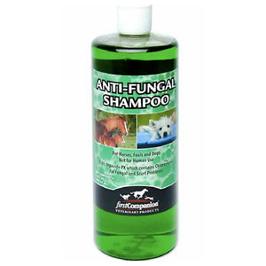 Anti Fungal Shampoo Equine - Grooming First Companion 32oz  