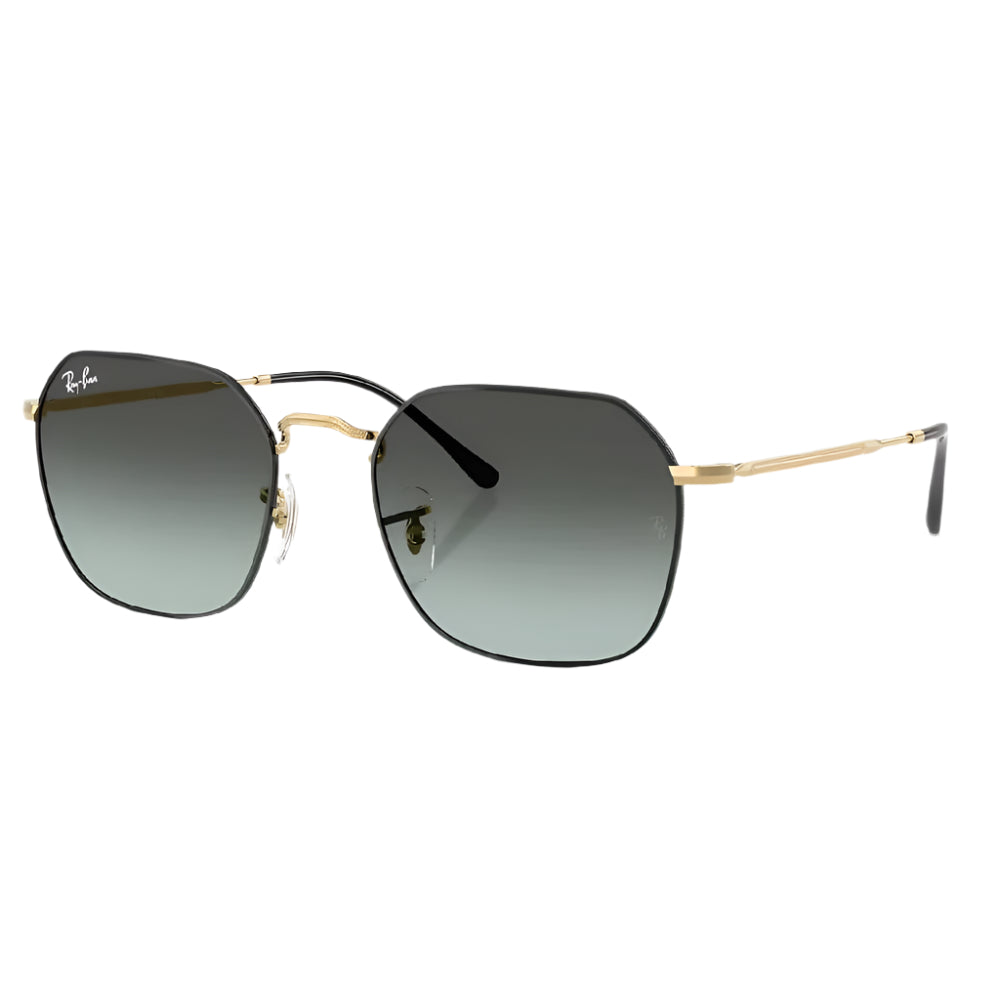 Ray-Ban Jim Sunglasses ACCESSORIES - Additional Accessories - Sunglasses Ray-Ban