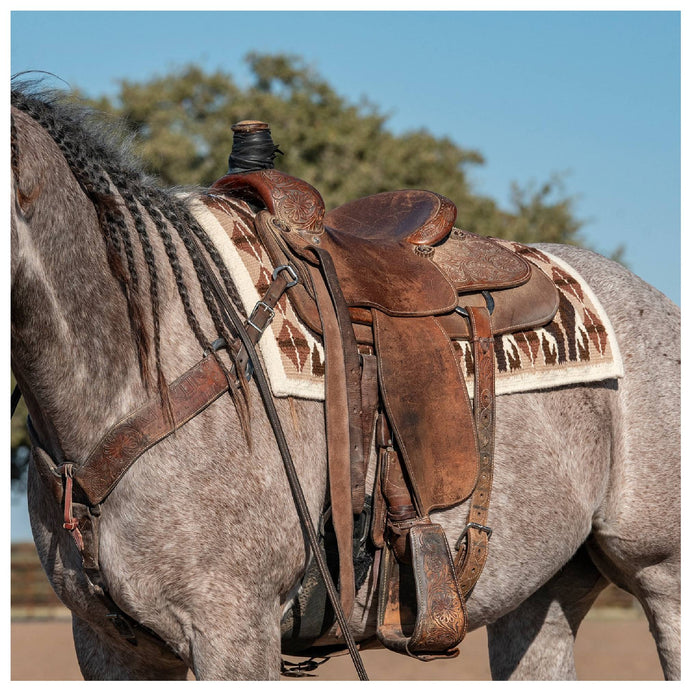 Classic Equine Show Blanket Tack - Saddle Pads Classic Equine