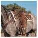Classic Equine Show Blanket Tack - Saddle Pads Classic Equine