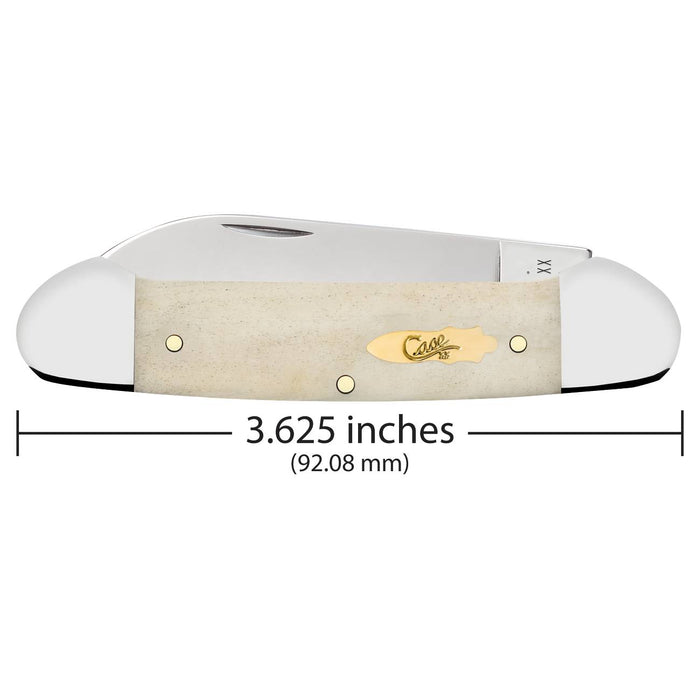 Case Canoe - Natural Bone - Brass Case Bomb Shield