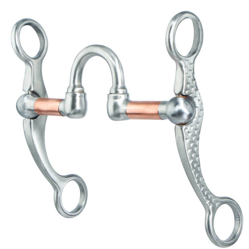 Professional's Choice Rasp Shank Correction Bit Tack - Bits Professional's Choice   