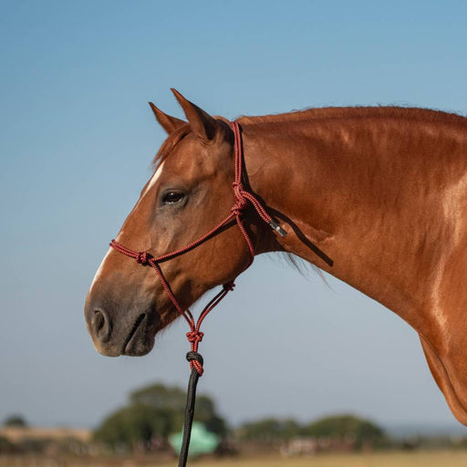 Classic Equine Rope Halter with Lead Tack - Halters & Leads Classic Equine Red/Black