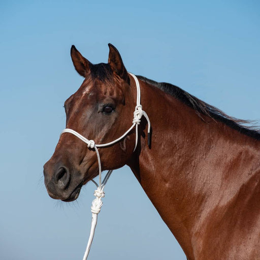 Classic Equine Rope Halter with Lead Tack - Halters & Leads Classic Equine White