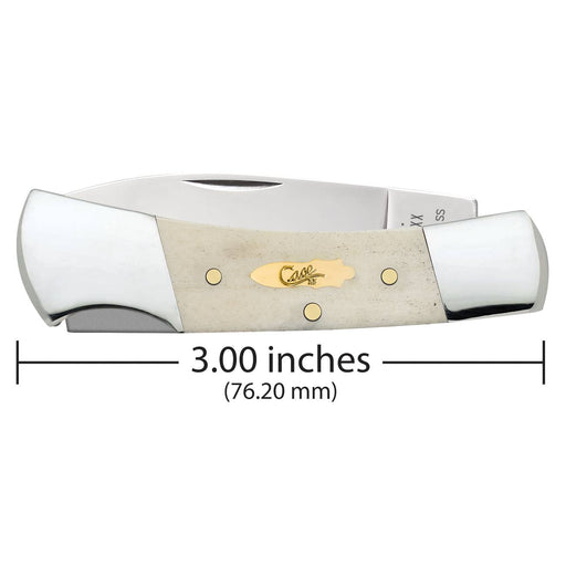 Case Lockback - Natural Bone - Brass Case Bomb Shield Knives W.R. Case