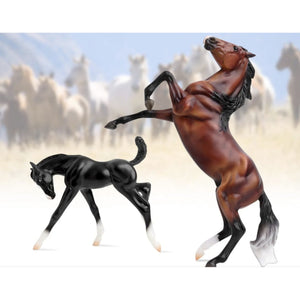 Breyer Wild & Free KIDS - Accessories - Toys Breyer   