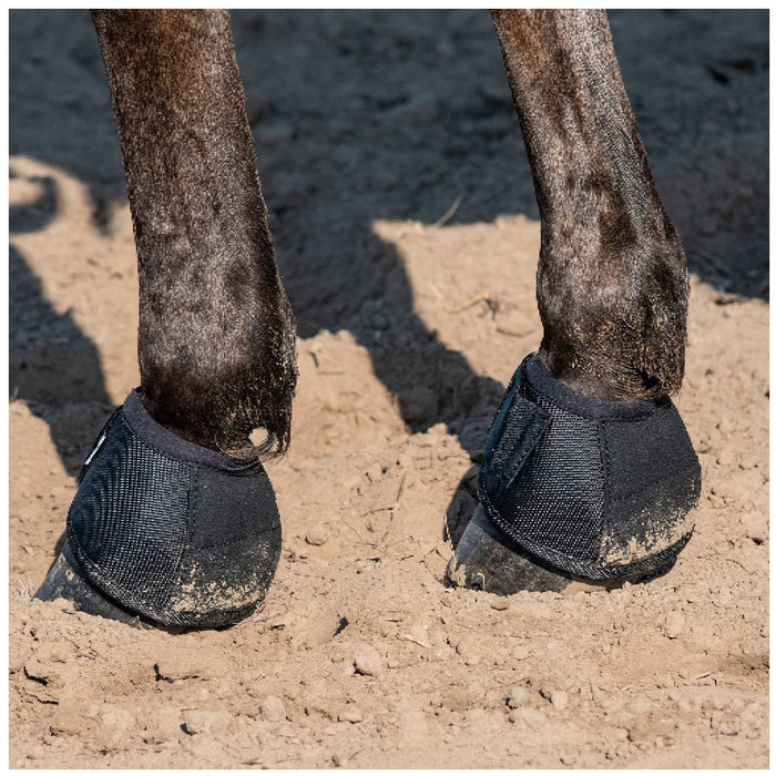 Classic Equine No Turn XT Bell