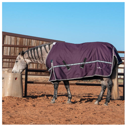 Classic Equine 10K Cross Trainer Winter Blanket Equine - Blankets & Sheets Classic Equine