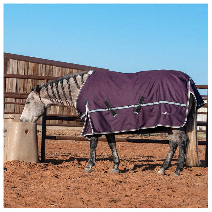 Classic Equine 10K Cross Trainer Winter Blanket Equine - Blankets & Sheets Classic Equine