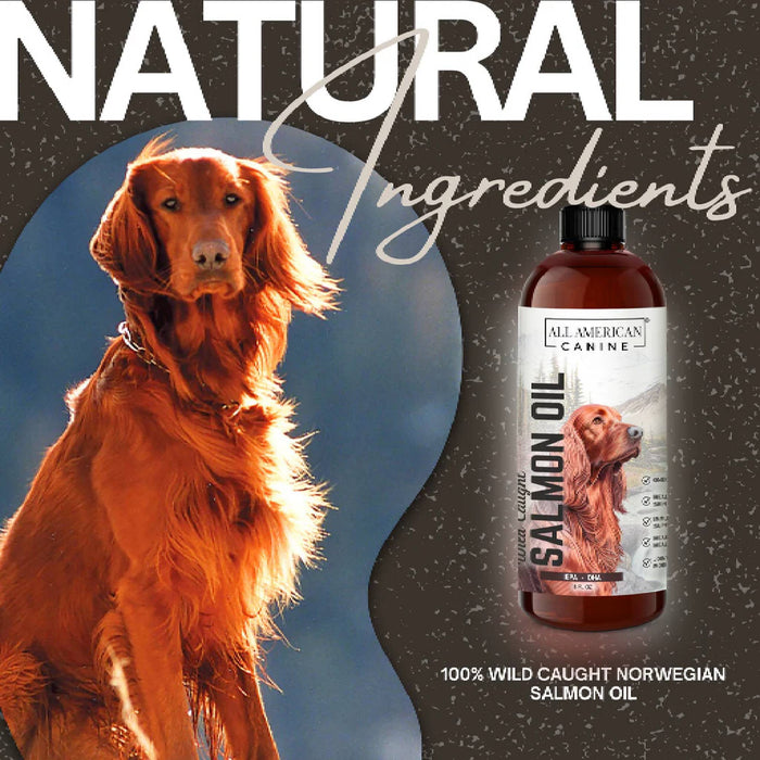 All American Canine Salmon Oil