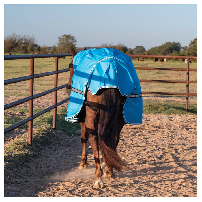Classic Equine 10K Cross Trainer Hooded Winter Blanket Equine - Blankets & Sheets Classic Equine