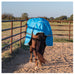 Classic Equine 10K Cross Trainer Hooded Winter Blanket Equine - Blankets & Sheets Classic Equine