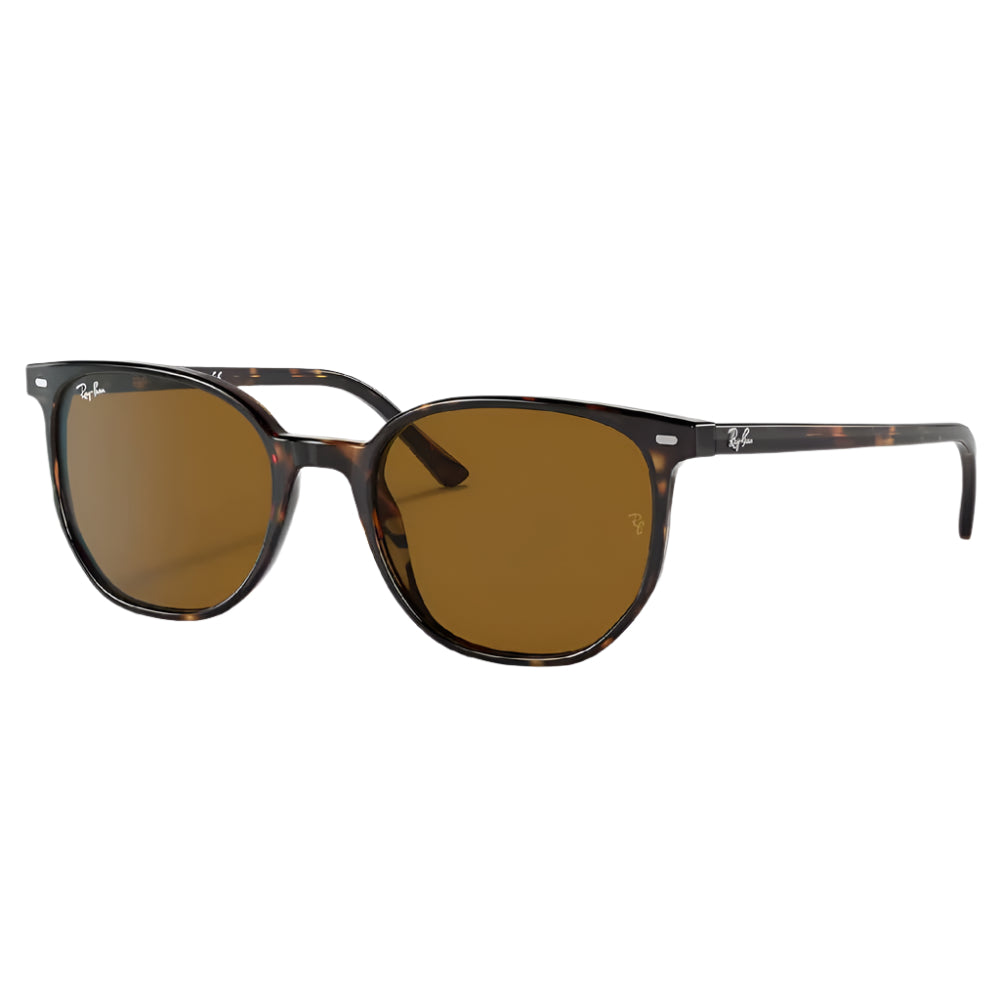 Ray-Ban Elliot Sunglasses