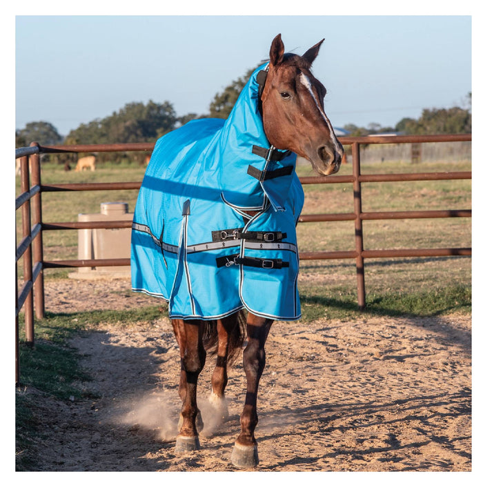 Classic Equine 10K Cross Trainer Hooded Winter Blanket Equine - Blankets & Sheets Classic Equine