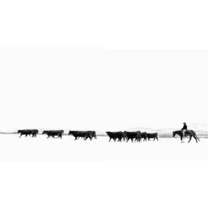 American Cowboys HOME & GIFTS - Books ACC Publishing   