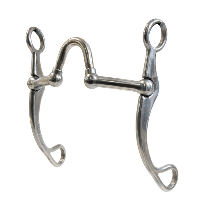 Professional's Choice Laramie Collection V Correction Bit Tack - Bits Professional's Choice