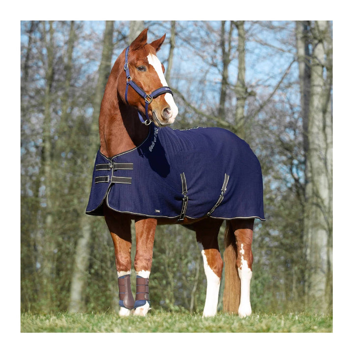 Back On Track Quick Cooler Sweat Blanket