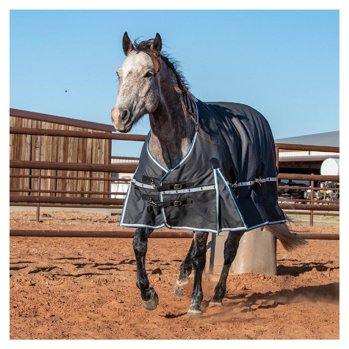 Classic Equine 5K Cross Trainer Winter Blanket Equine - Blankets & Sheets Classic Equine
