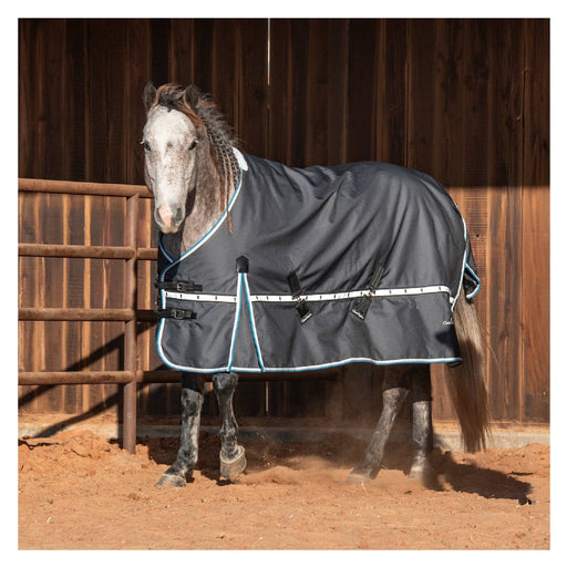 Classic Equine 5K Cross Trainer Winter Blanket Equine - Blankets & Sheets Classic Equine