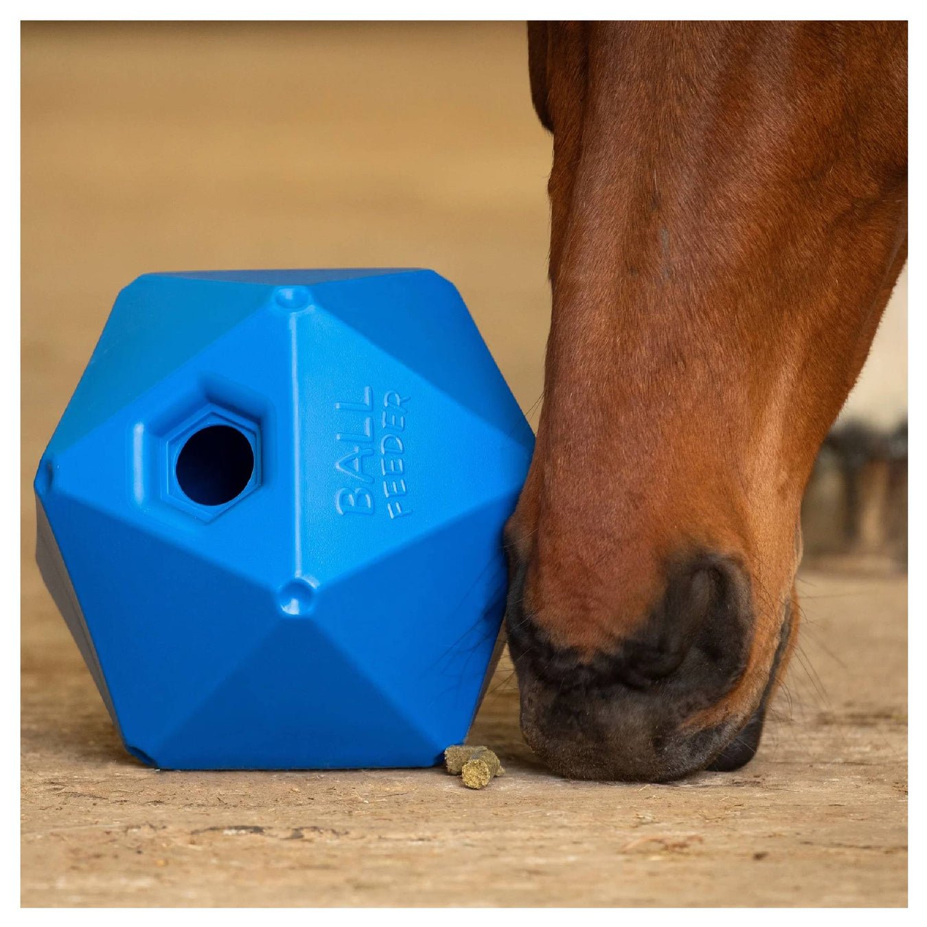Shires Ball Feeder for Horses Equine - Toys & Treats Shires