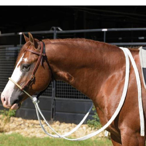 Professional's Choice Ranch Heavy Oiled 5/8" Loping Hackamore with Mule Tape Reins Tack - Training Professional's Choice