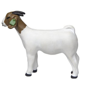 Grand Champion Boer Doe KIDS - Accessories - Toys Little Buster