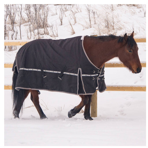 Classic Equine 10K Cross Trainer Winter Blanket Equine - Blankets & Sheets Classic Equine