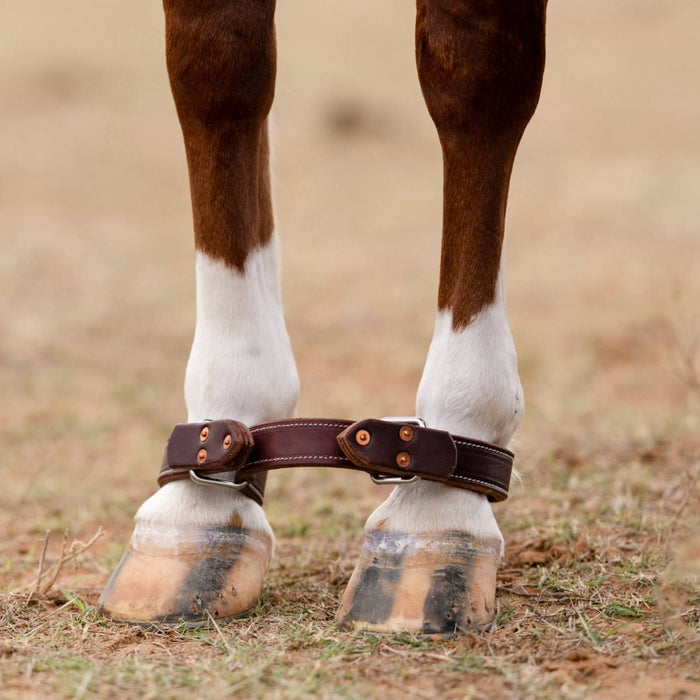 Professional's Choice Ranch EZ Hobble