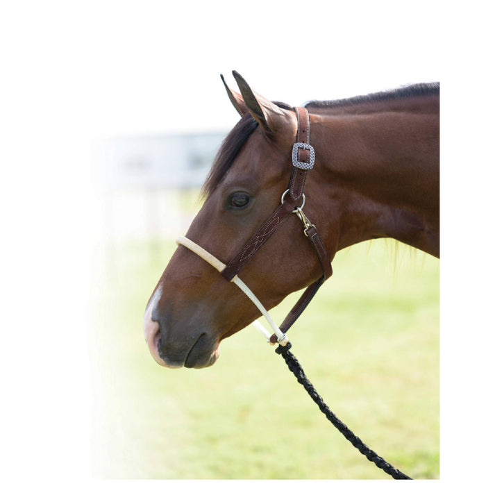 Professional's Choice Rawhide Wrapped Rope Nose Halter Tack - Halters & Leads Professional's Choice