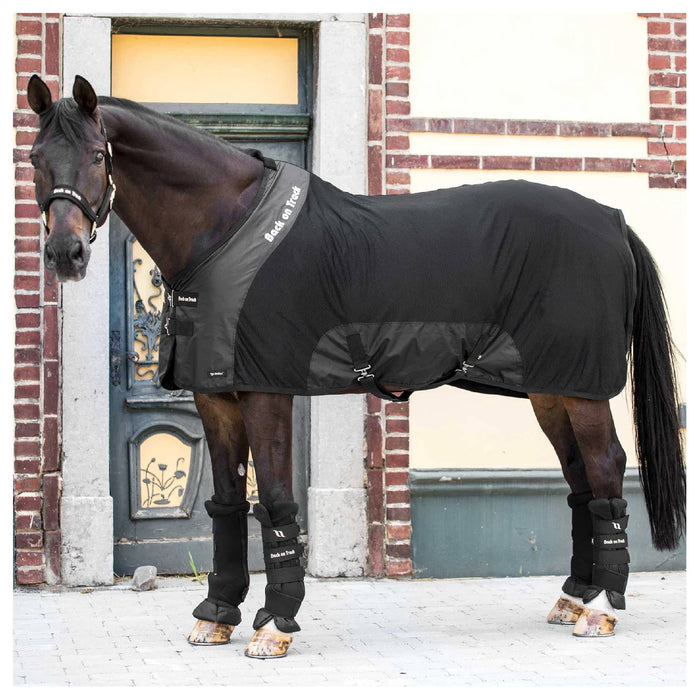 Back On Track Therapeutic Mesh Sheet Deluxe Equine - Therapeutic Back on Track