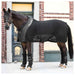 Back On Track Therapeutic Mesh Sheet Deluxe Equine - Therapeutic Back on Track