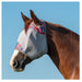 Cashel Crusader Patterned Fly Mask Equine - Fly & Insect Control Cashel