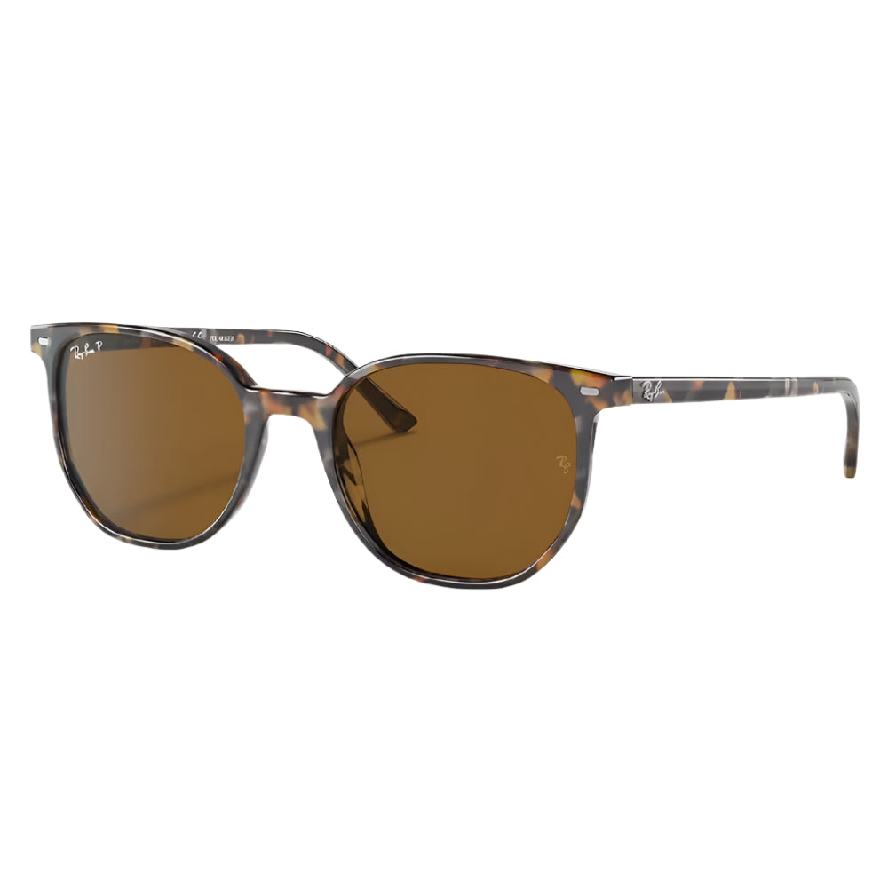 Ray-Ban Elliot Sunglasses