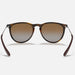 Ray-Ban Erika Classic Sunglasses ACCESSORIES - Additional Accessories - Sunglasses Ray-Ban   