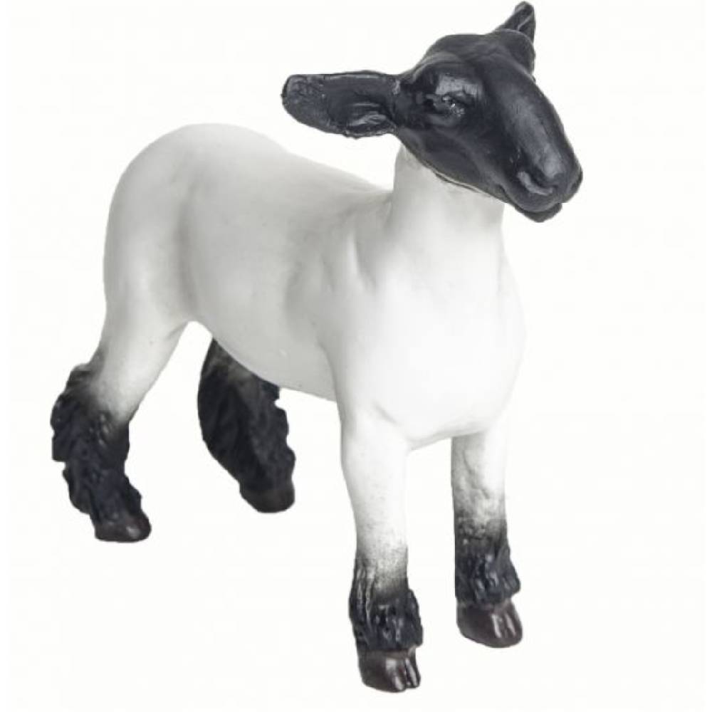 Champion Crossbred Market Lamb KIDS - Accessories - Toys Little Buster