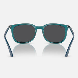 Ray-Ban RB4386 Sunglasses ACCESSORIES - Additional Accessories - Sunglasses Ray-Ban   