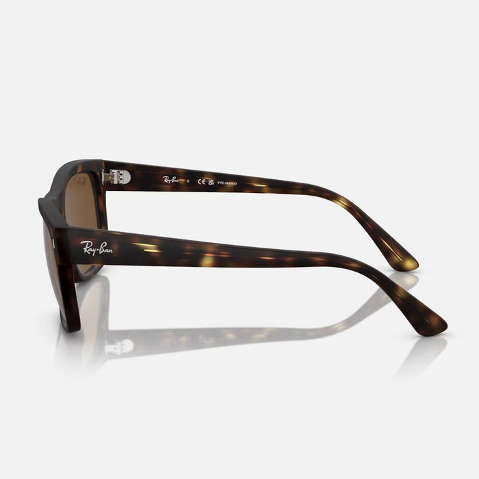 Ray-Ban RB4428 Sunglasses ACCESSORIES - Additional Accessories - Sunglasses Ray-Ban   