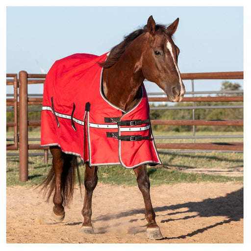 Classic Equine Windbreaker Turnout Sheet Equine - Blankets & Sheets Classic Equine