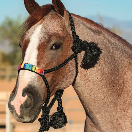 Professional's Choice Cowboy Braided Halter with Lead Tack - Halters & Leads Professional's Choice Black/Serape