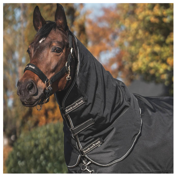 Back On Track Obsidian Turnout Blanket w/Neck Cover