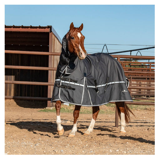 Classic Equine Windbreaker Turnout Sheet With Hood Equine - Blankets & Sheets Classic Equine