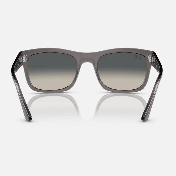 Ray-Ban RB4428 Sunglasses ACCESSORIES - Additional Accessories - Sunglasses Ray-Ban   
