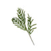 Small Norfolk Pine Faux Stem HOME & GIFTS - Home Decor - Seasonal Decor Luxe B Co