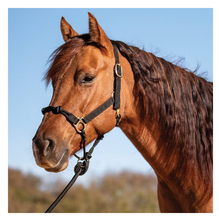 Cashel Nylon Rope Halter