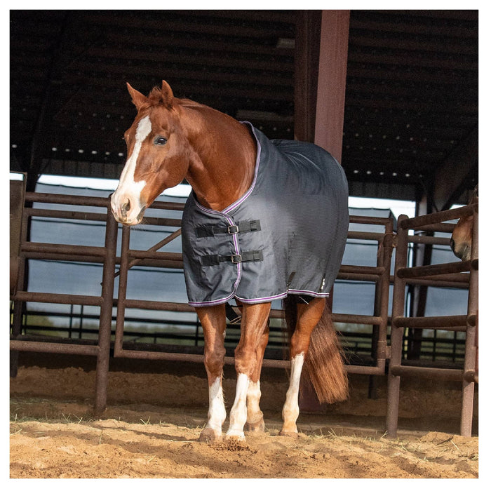 Classic Equine '26 Colors Open Front Stable Sheet Equine - Blankets & Sheets Classic Equine