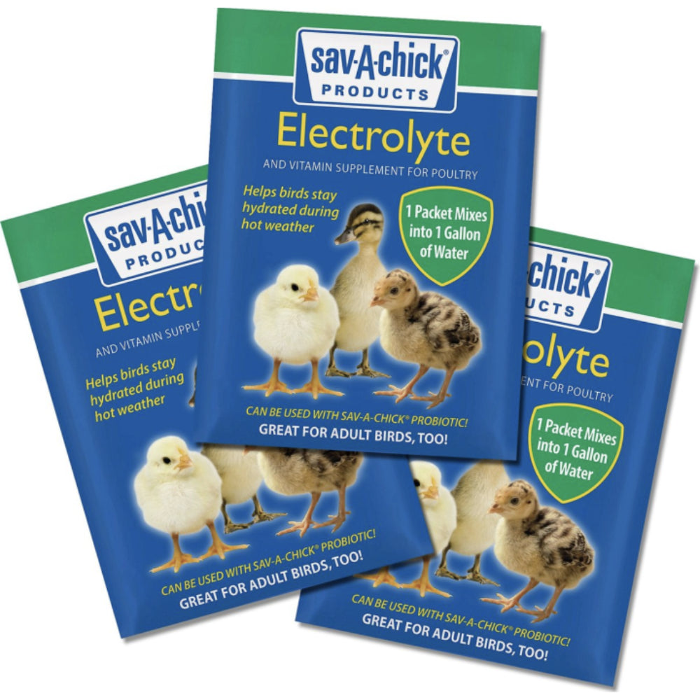 Sav-a-Chick Electrolyte & Vitamin Supplement Livestock - Vitamins & Supplements Sav-a-Chick   